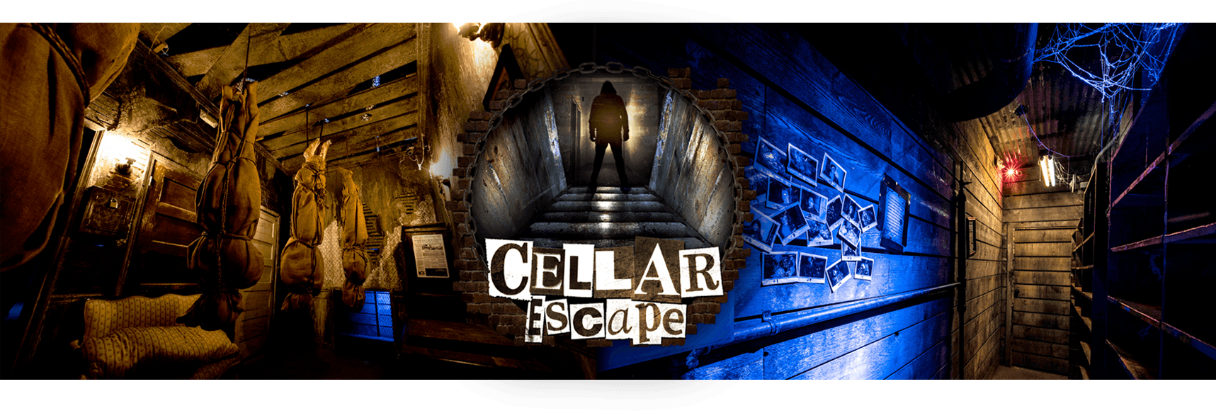cellar room
