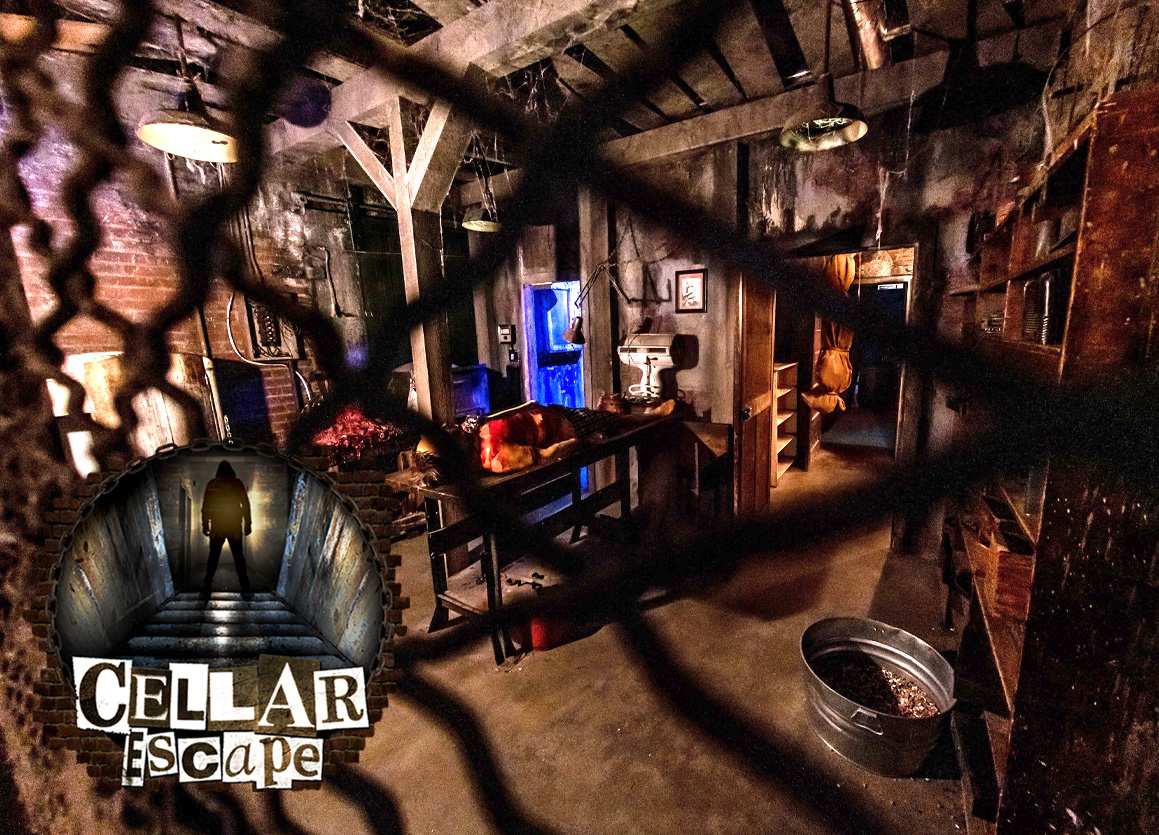 cellar room